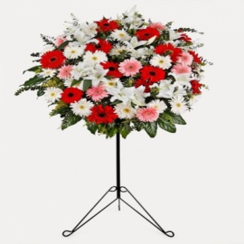 product-details